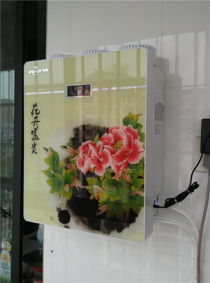 永源苹果型机纯水机-富贵花开