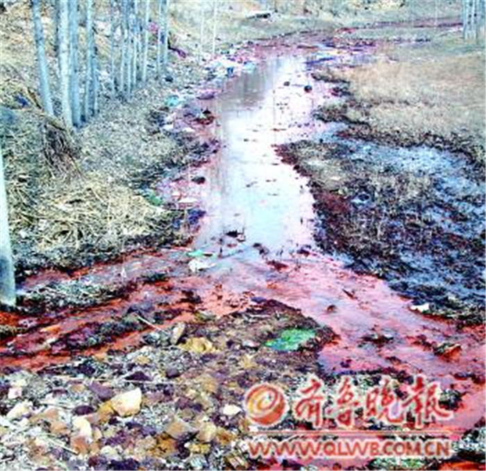 麻湾河下游的河水已经成了铁锈色