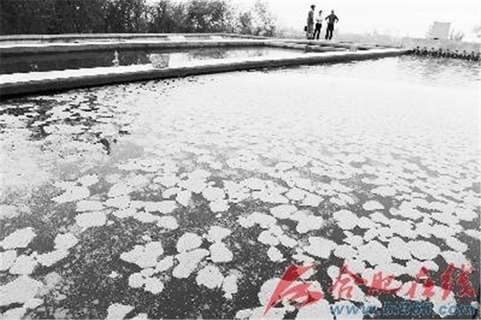 自来水厂里的过滤池